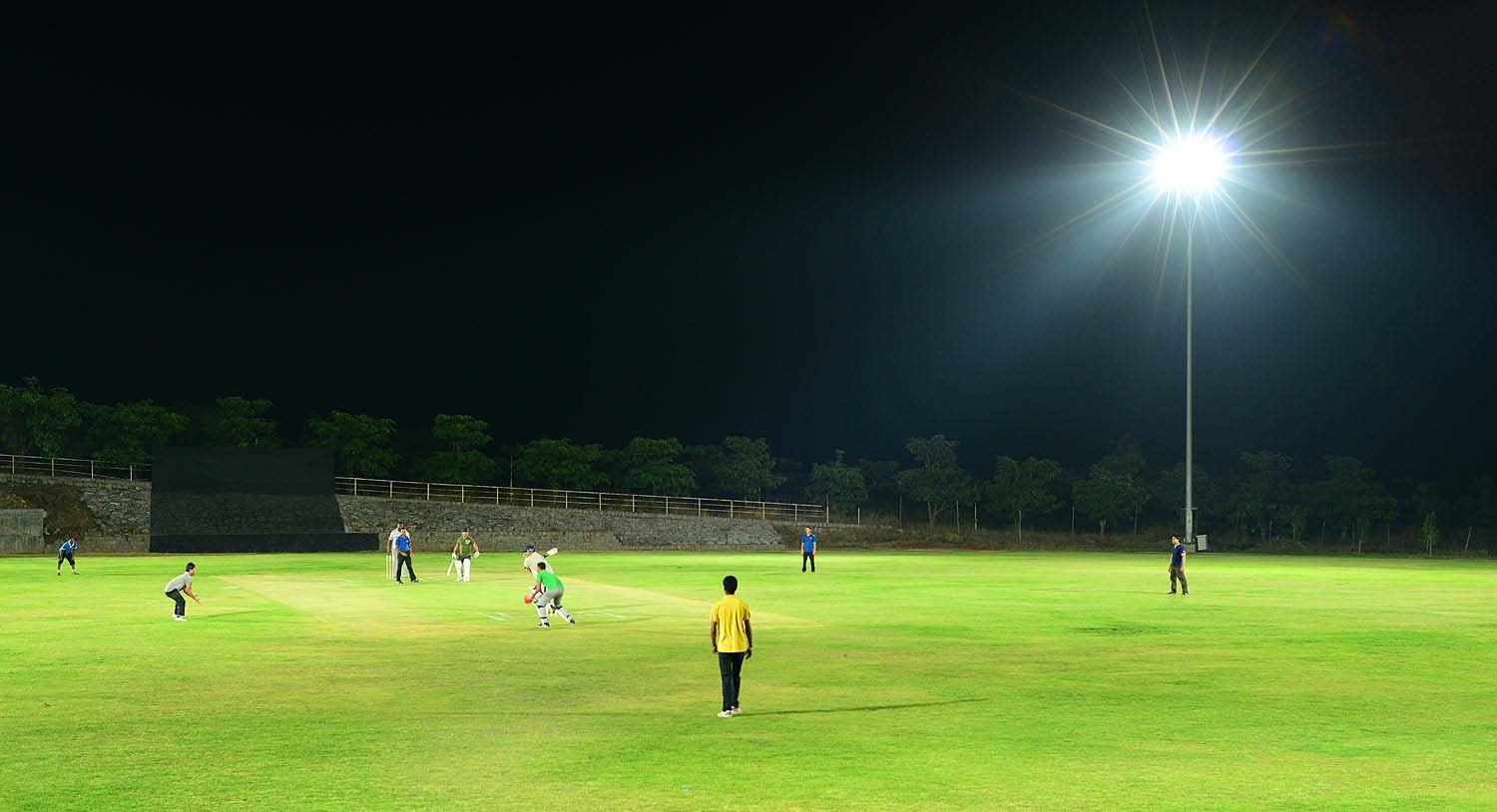 Cricket stadium flood lights, Palm Exotica