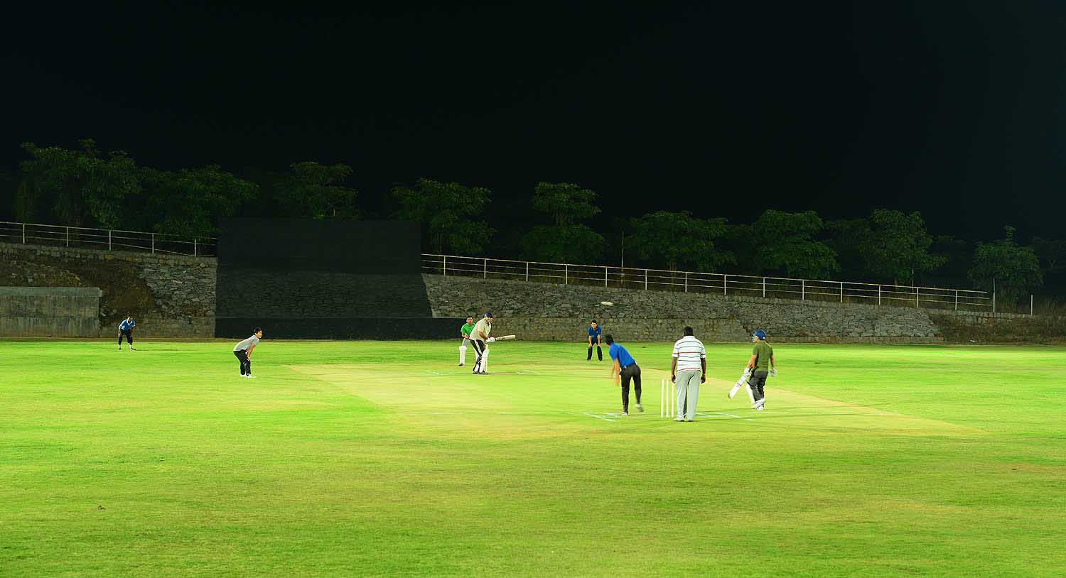 Cricket stadium, Palm Exotica