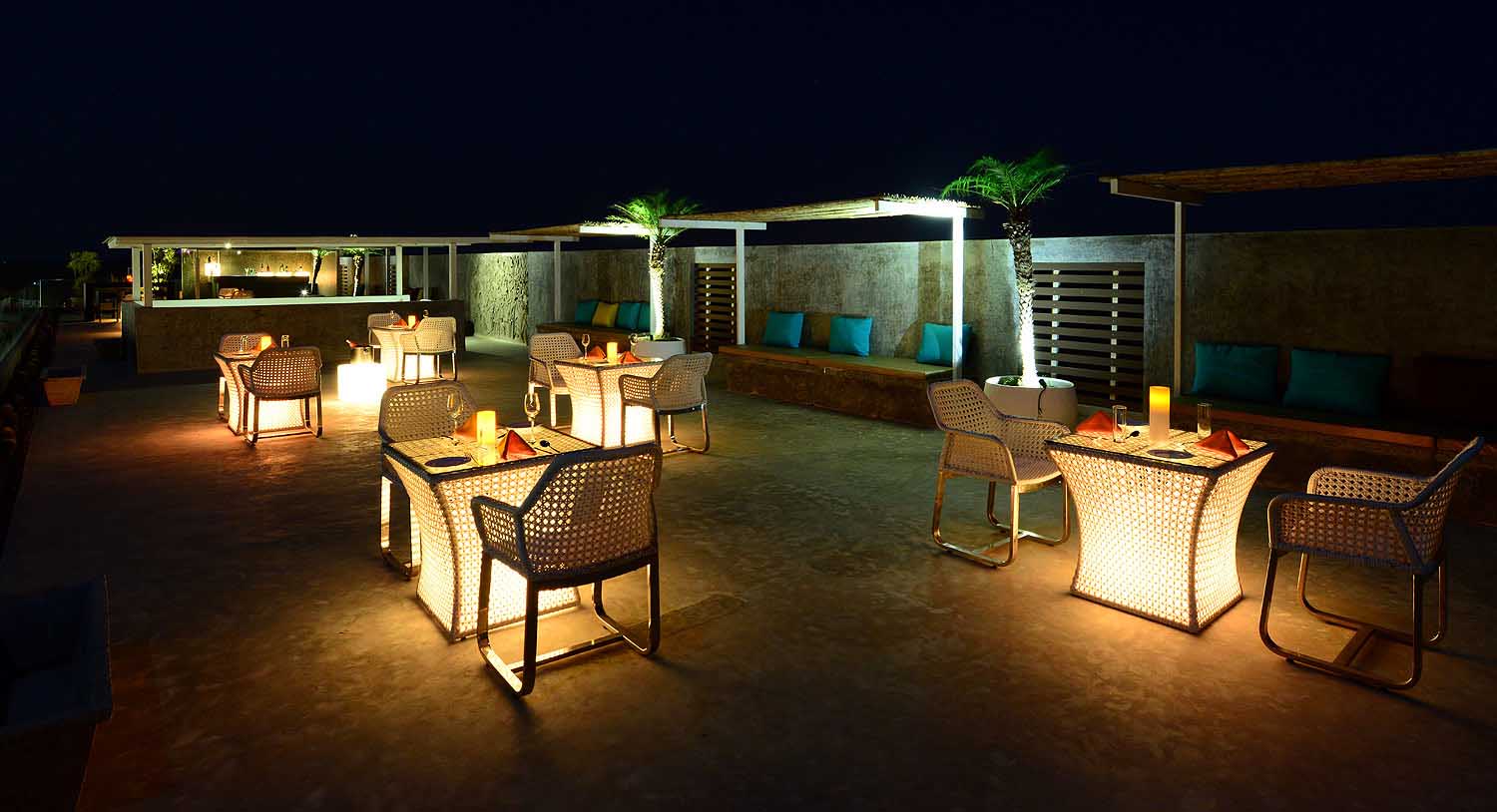 Panorama Night View, Palm Exotica