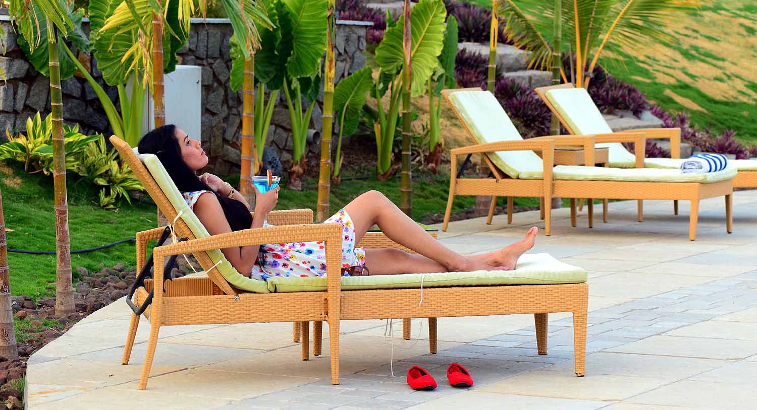Poolside relaxation, Palm Exotica