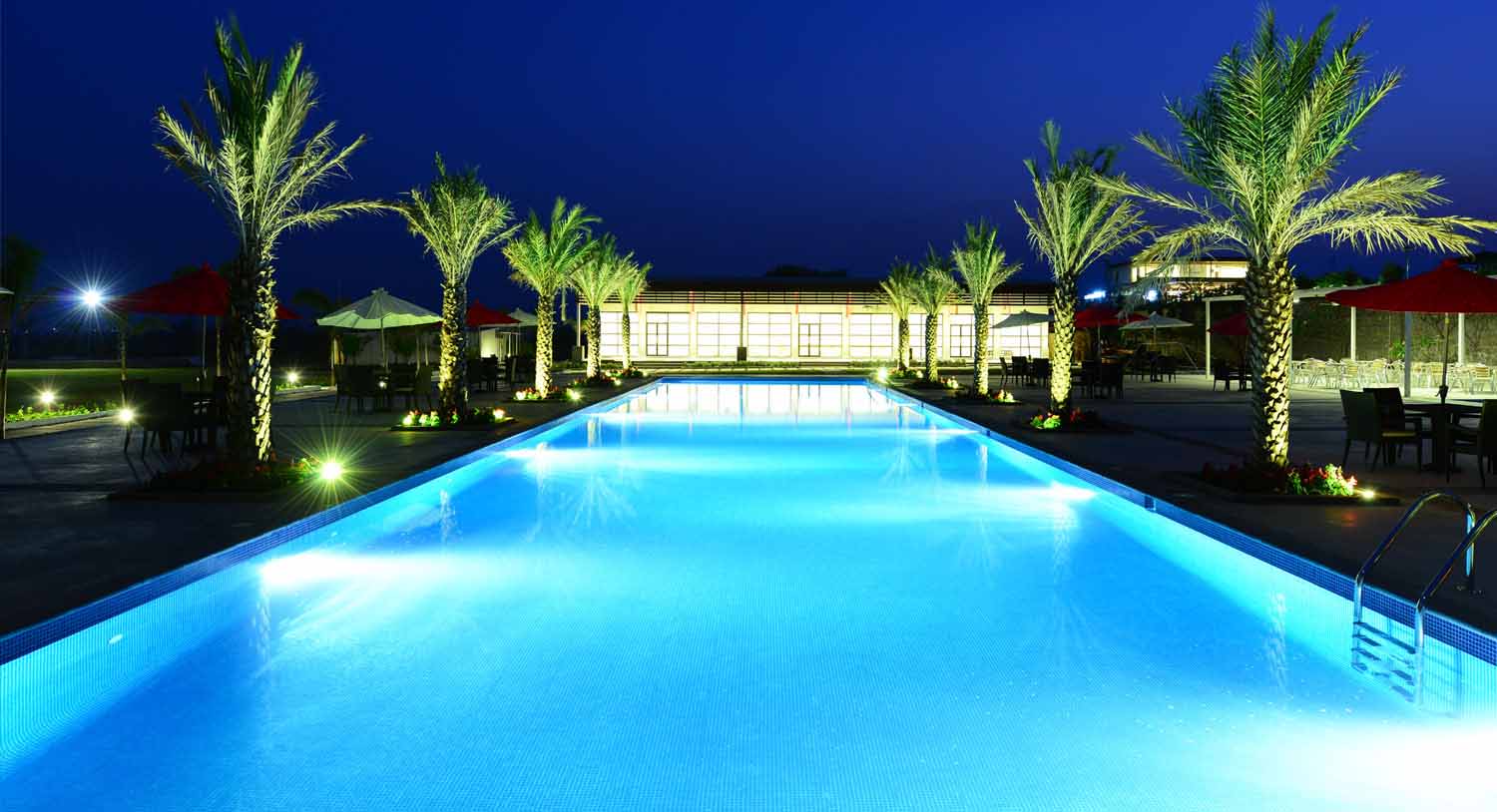 Swimming Pool Night View, Palm Exotica