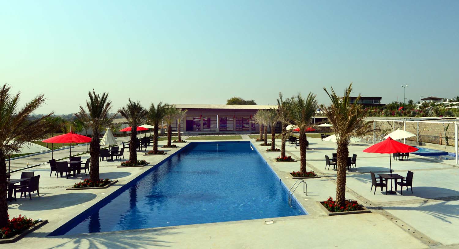 Swimming Pool, Palm Exotica