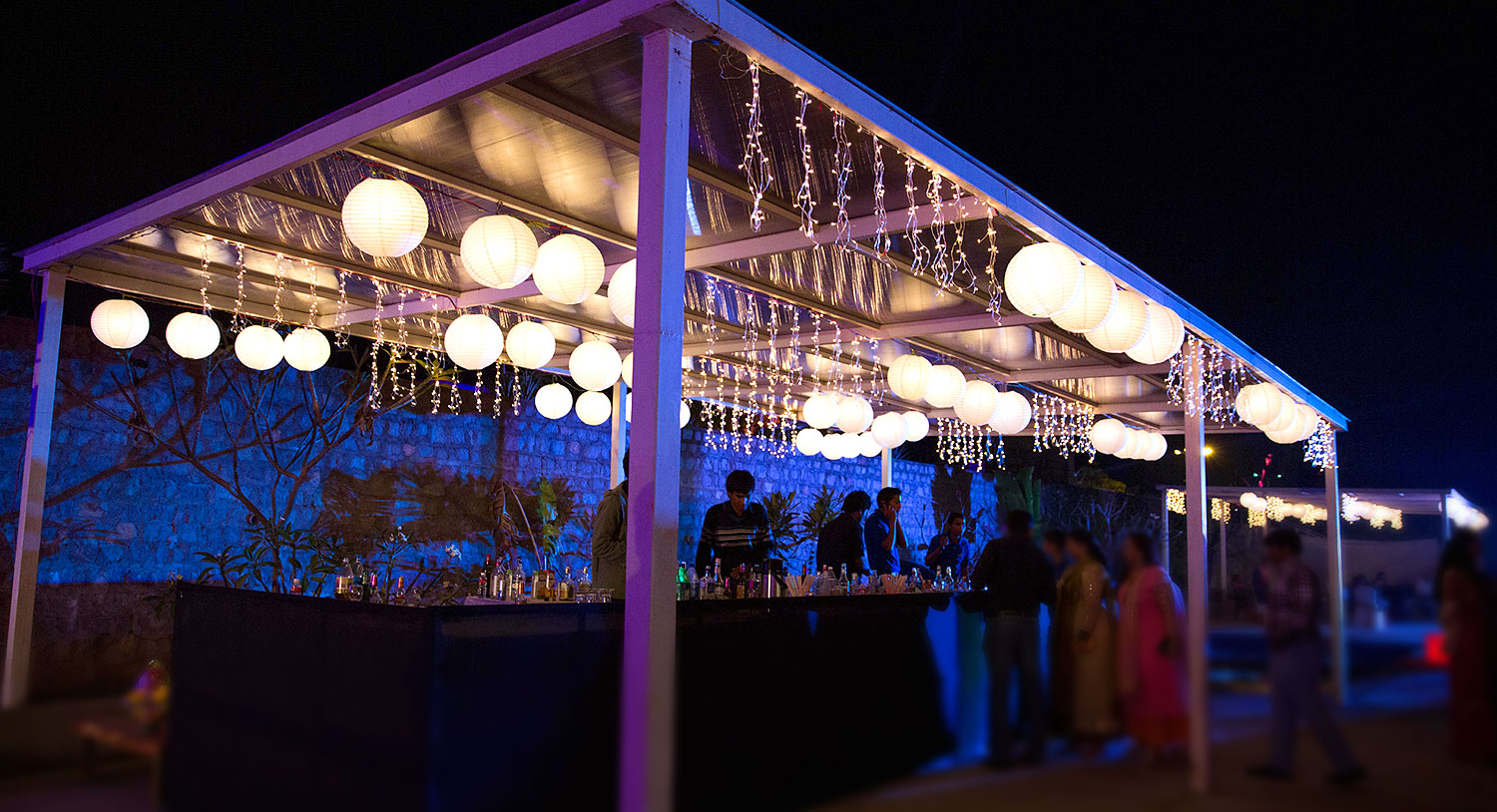 Drinks Counter, Palm Exotica